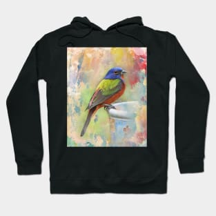 Painted Bunting Bird Hoodie